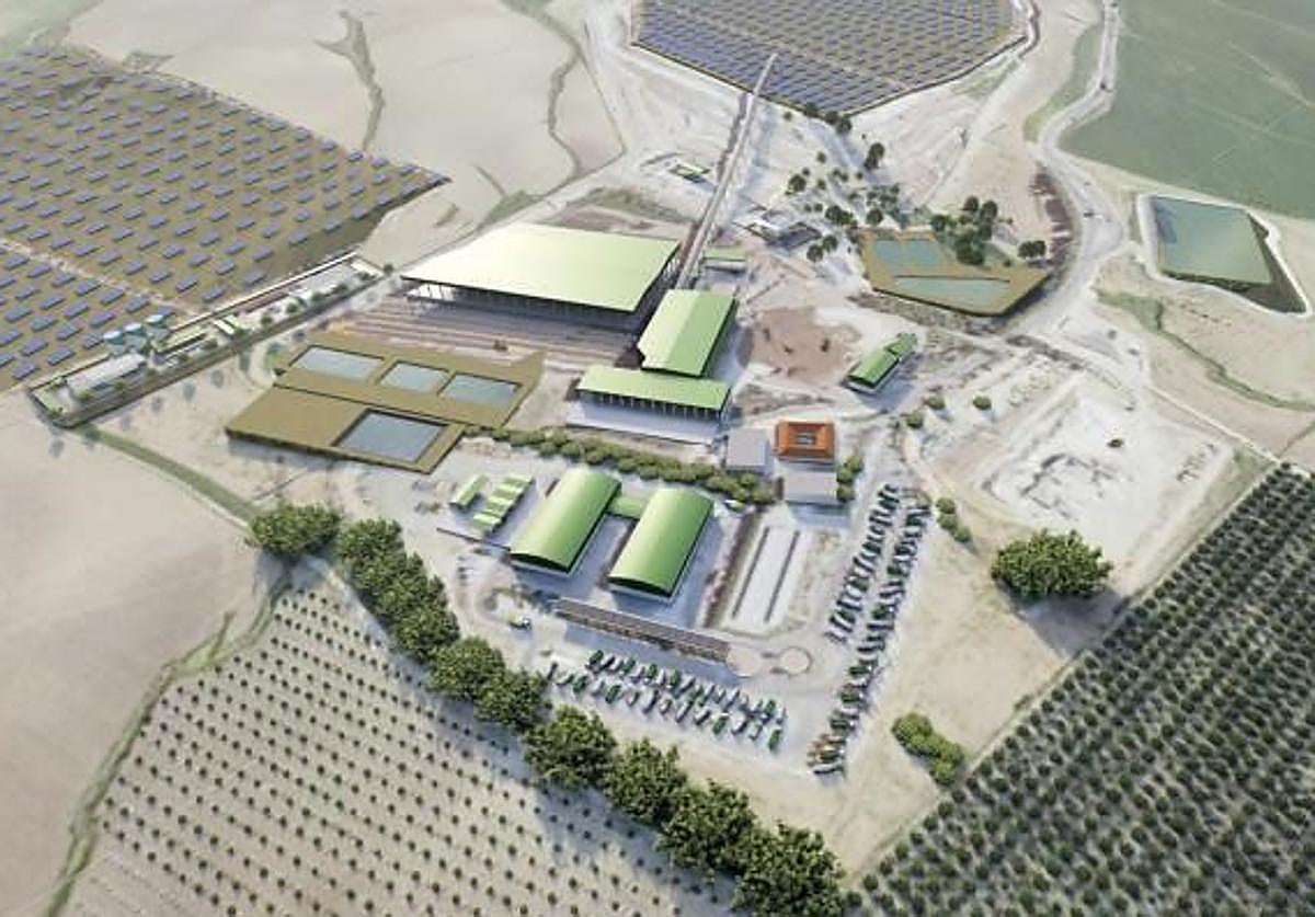 Infografía del polo verde en las instalaciones del Lobatón