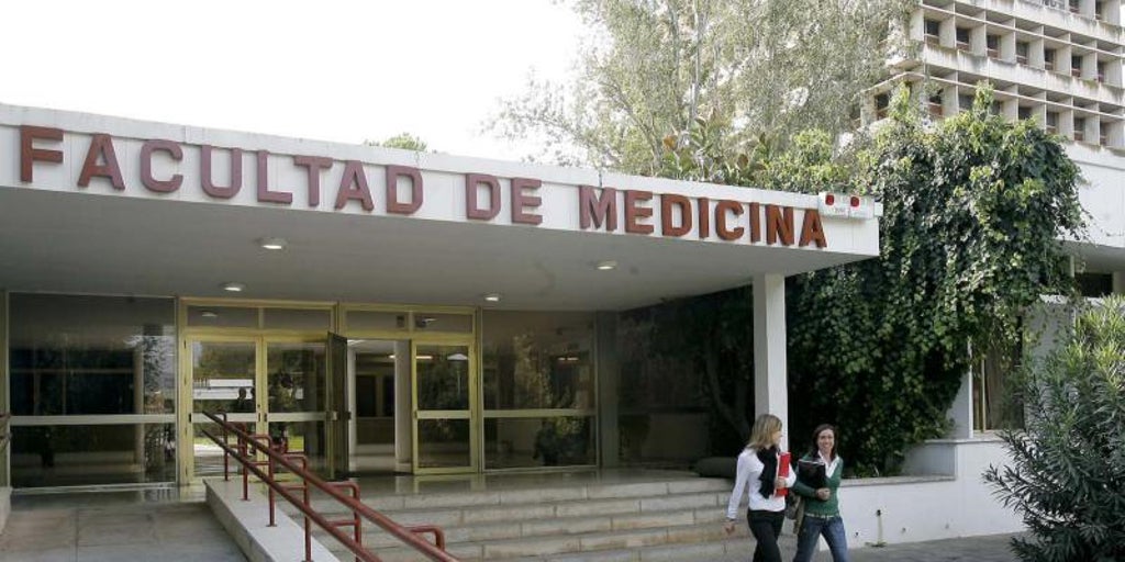 Las universidades públicas andaluzas ofrecerán 171 plazas más de nuevo ingreso el próximo curso en Medicina