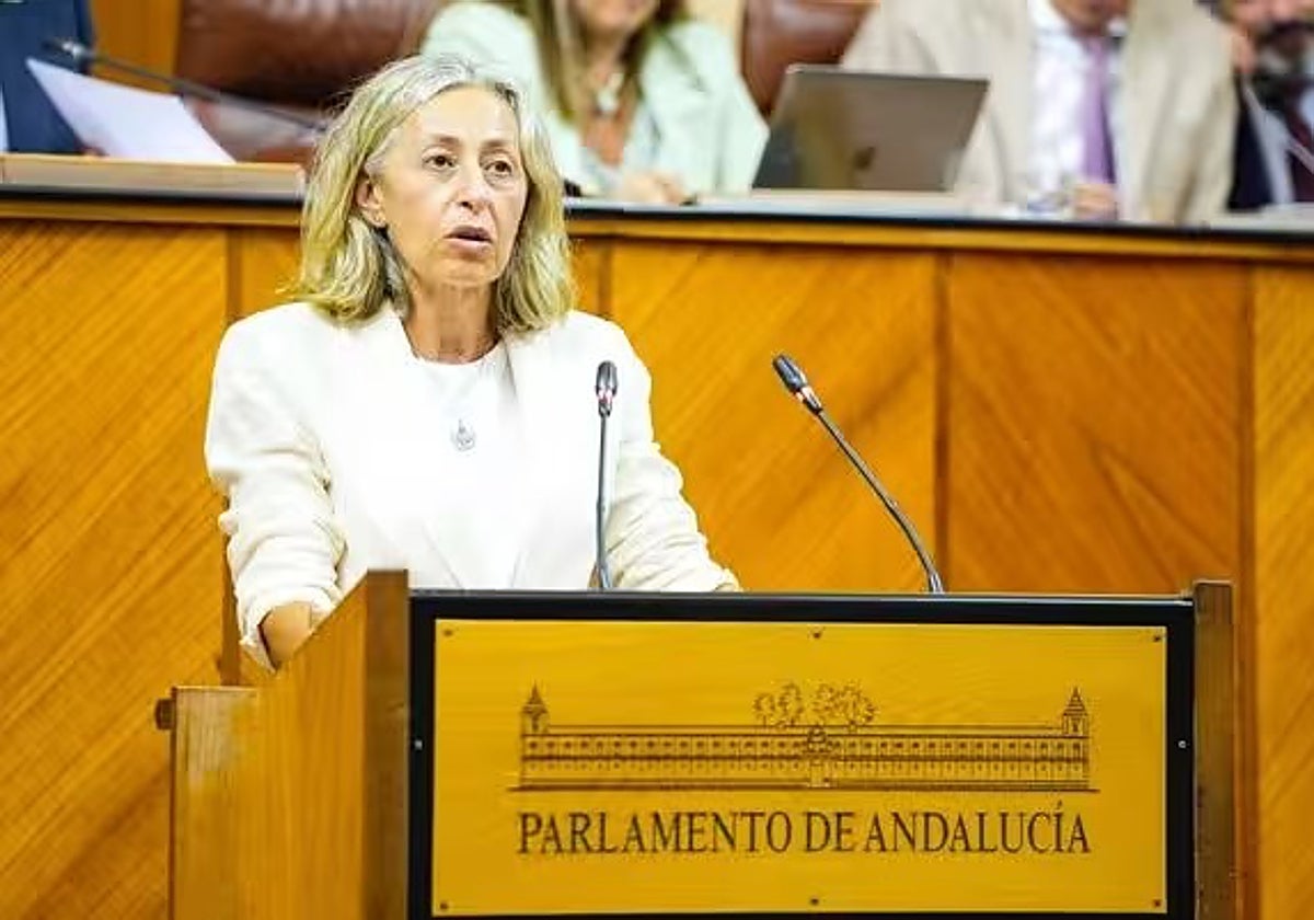 Rocío Hernández durante una intervención en el Parlamento de Andalucía