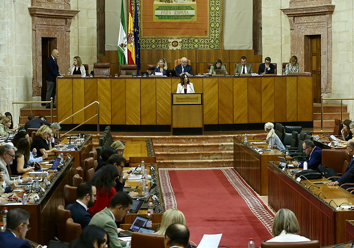 Una imagen del pleno