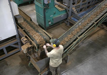 Aceite, ajo y almendra tiran del alza de las exportaciones del campo