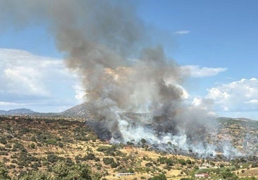 El incendio forestal de Almorox desciende a nivel 0 tras la estabilización de su perímetro por los equipos de extinción