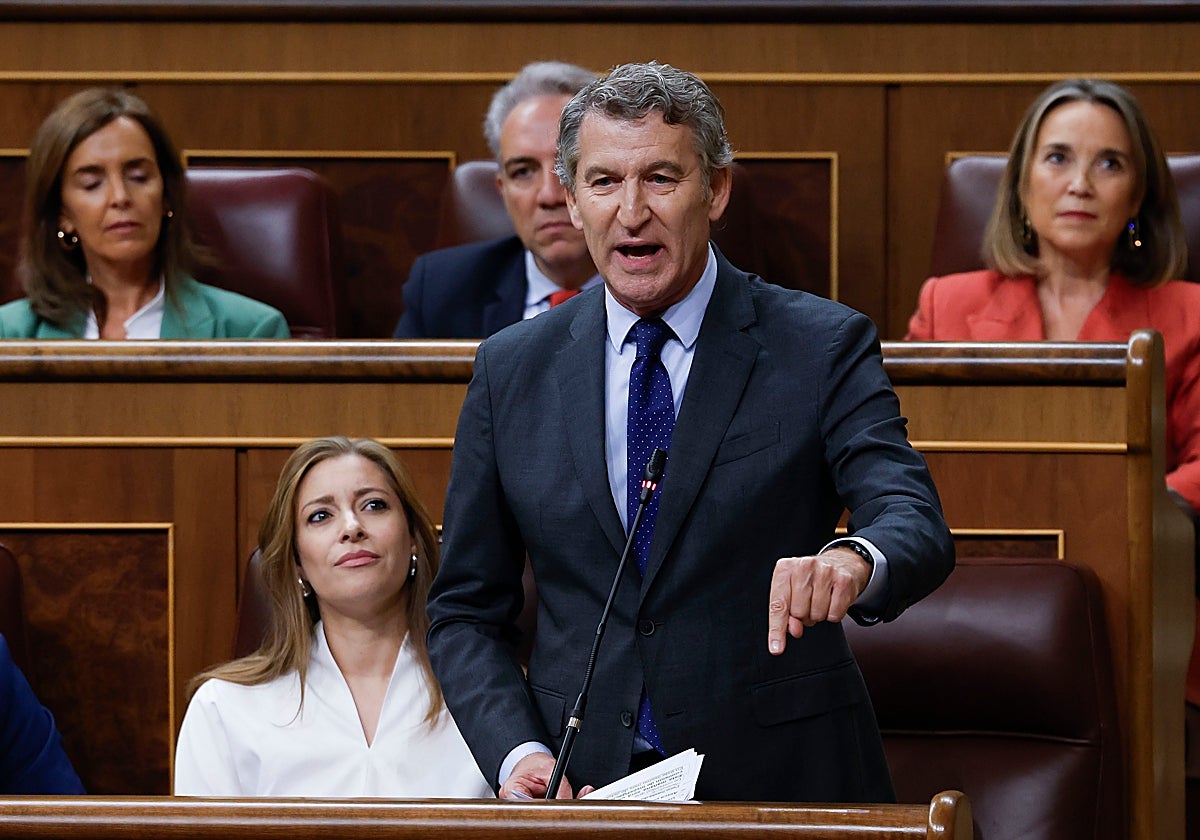 El líder del PP, Alberto Núñez Feijóo, durante la sesión de control al gobierno celebrada este miércoles en el Congreso