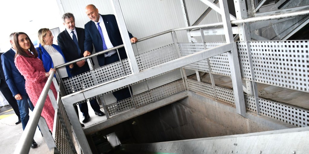 Castilla-La Mancha reclama a la Unión Europea un programa específico para el olivar en la nueva PAC