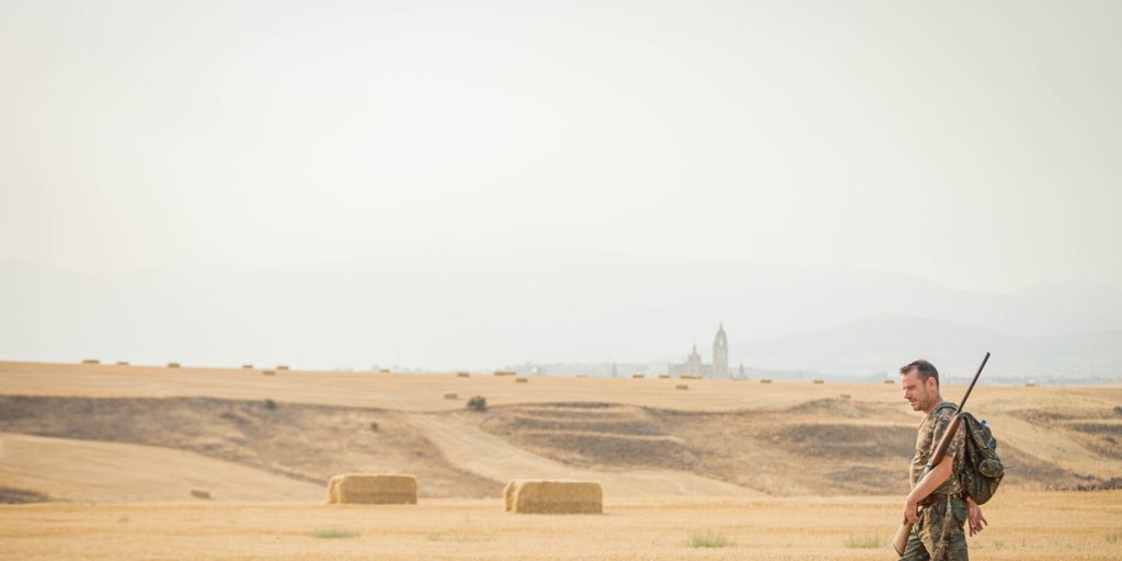 Abierta la temporada de caza mayor en Andalucía, que se prolongará hasta febrero de 2026