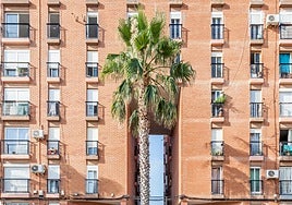 La Generalitat Valenciana instala alarmas conectadas a la Policía para evitar okupas en viviendas públicas