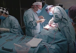 Castilla y León suma 94 donantes de órganos y 327 trasplantes entre enero y septiembre