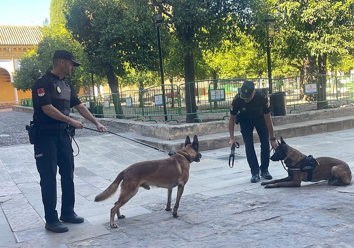 De pie el policía Curro Barrena junto a su compañero 'Coco' y otro agente con 'Leo' en Córdoba