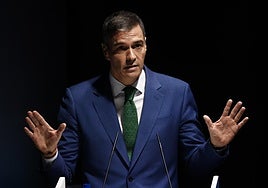 Dos fiscales del Tribunal Supremo respaldan a un senador del PP contra la censura de Sánchez