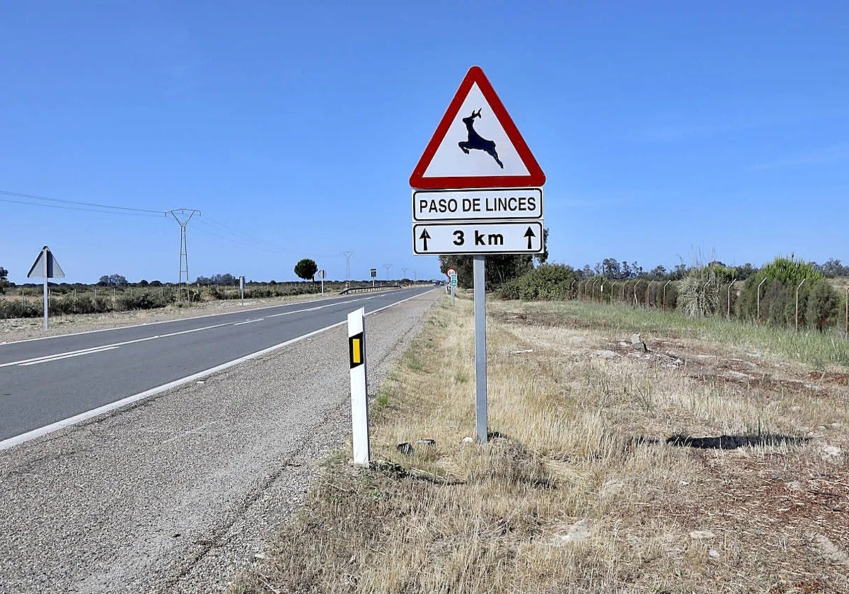 Señal de tráfico para alertar del paso de linces