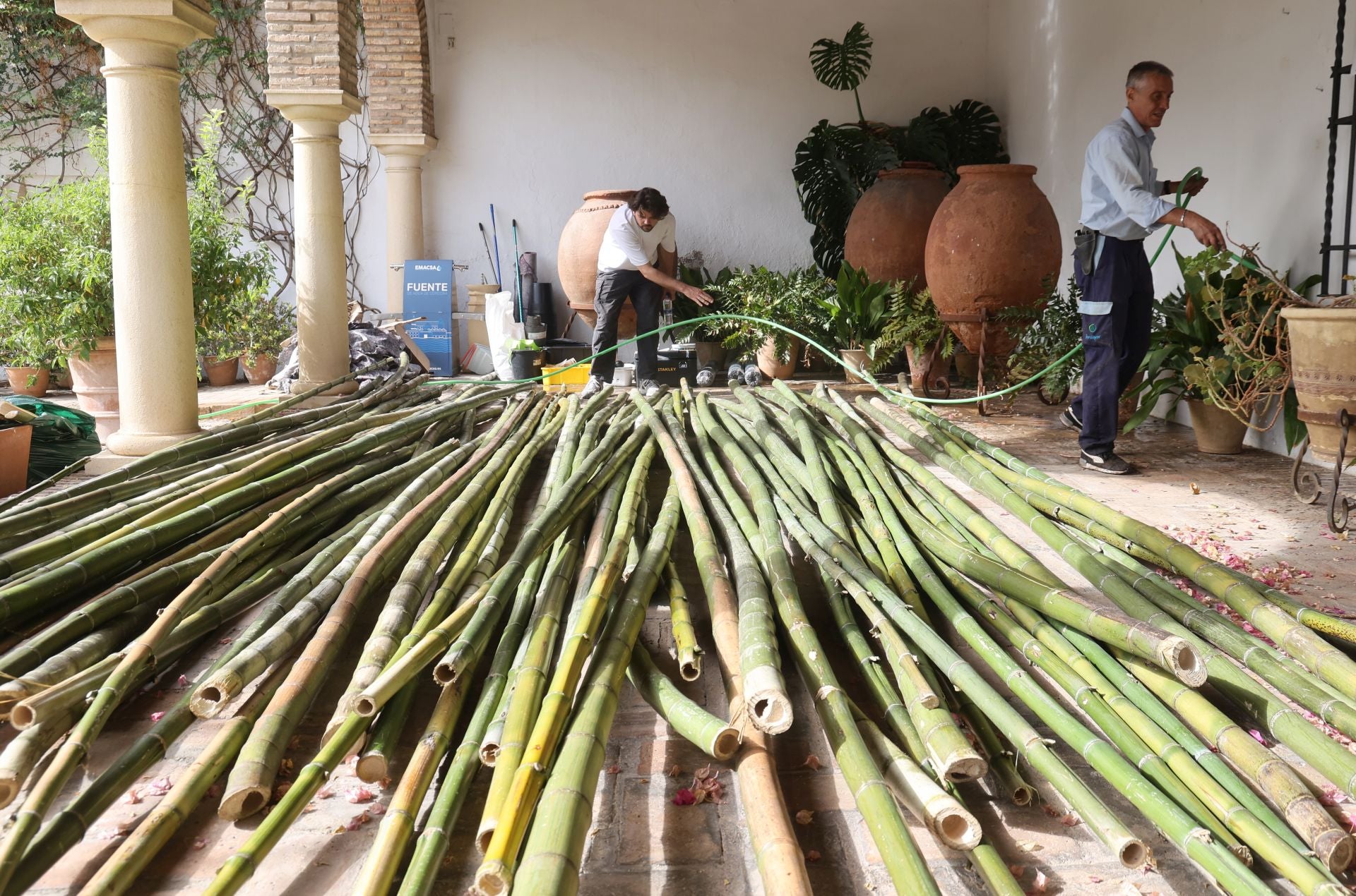 El arranque del montaje de Flora 2025, en imágenes
