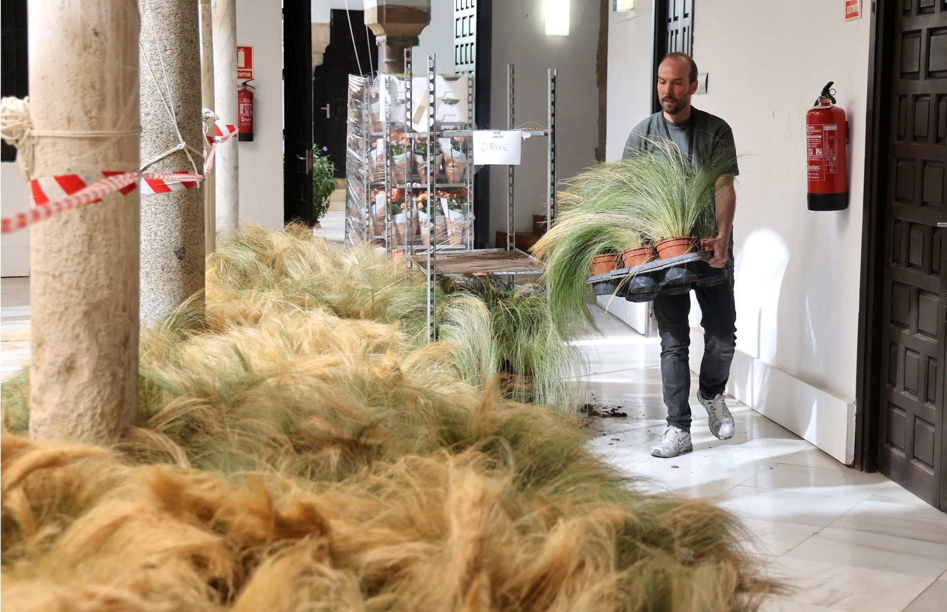 El arranque del montaje de Flora 2025, en imágenes