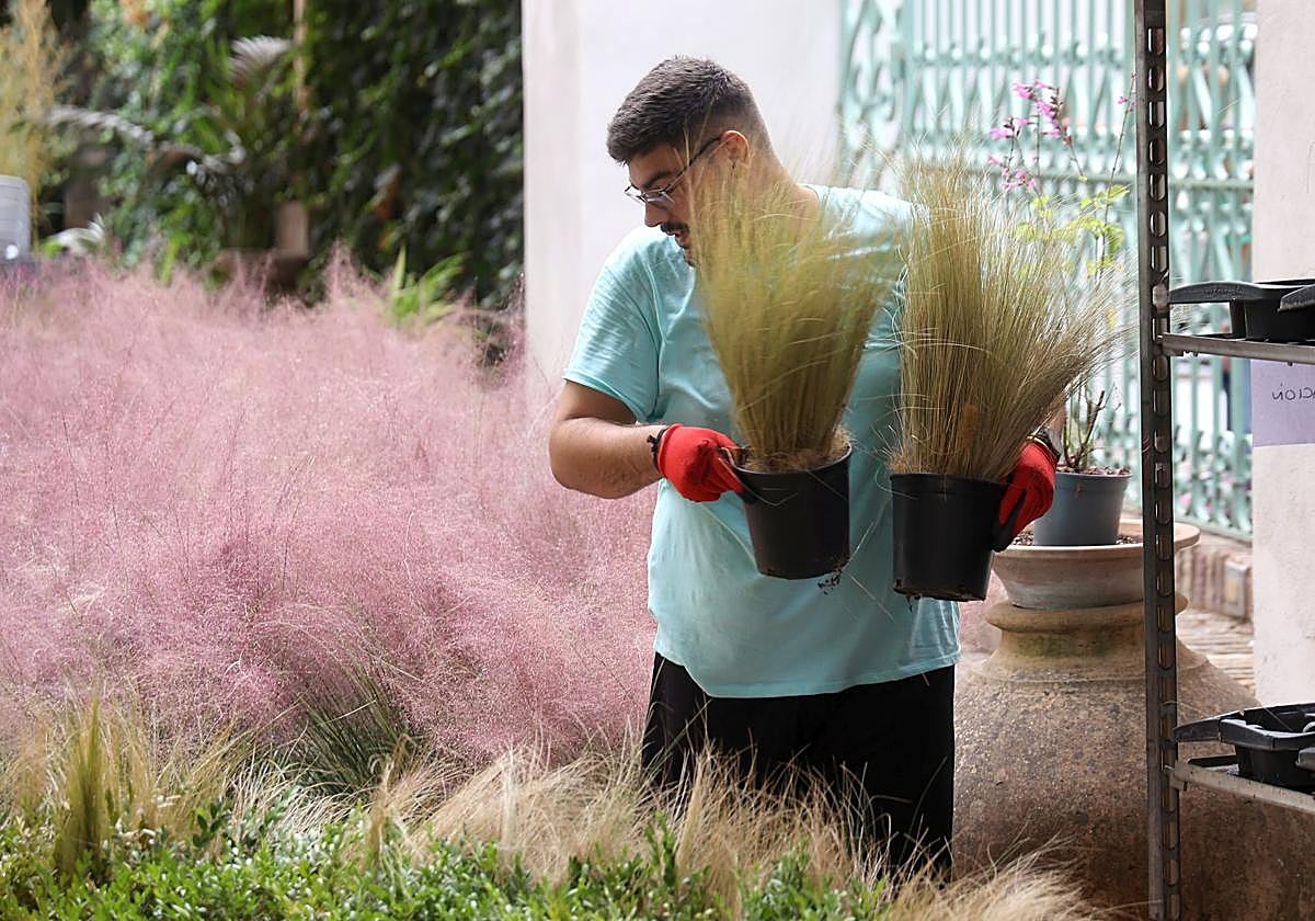 Montaje de la instalación que podrá verse en la Diputación de Córdoba