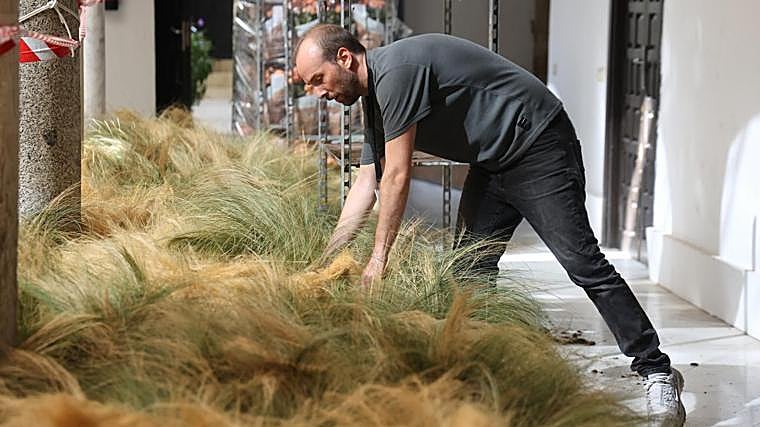Germina el montaje de Flora: los patios de Córdoba se preparan para florecer