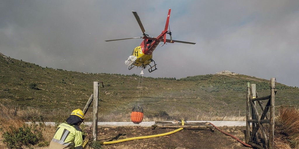 Extinguido tras 22 días el incendio del Pico del Lobo (Guadalajara), que deja 2.900 hectáreas arrasadas y un duro golpe al sector ganadero