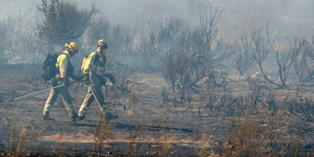 El operativo antiincendios será público en tres años