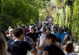 Arturo Bernal, consejero de Turismo: «Es el mejor puente desde la pandemia»
