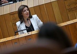 La neutralidad climática de Galicia en 2040 no encuentra consenso en el Parlamento