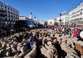 Los mejores planes que hacer este fin de semana en Madrid: de Tapapiés a la Fiesta de la Trashumancia