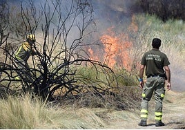 Madrid pide por carta al Gobierno central que no excluya a Aranjuez como Zona Gravemente Afectada por los incendios de este verano