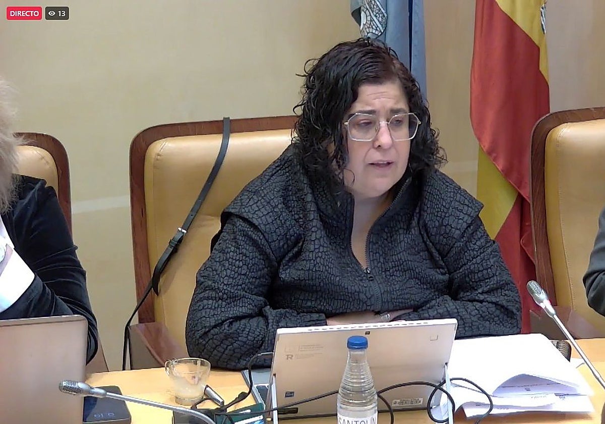 La hasta ahora concejal de Hacienda de Segovia, Rosalía Serrano, en una imagen de archivo