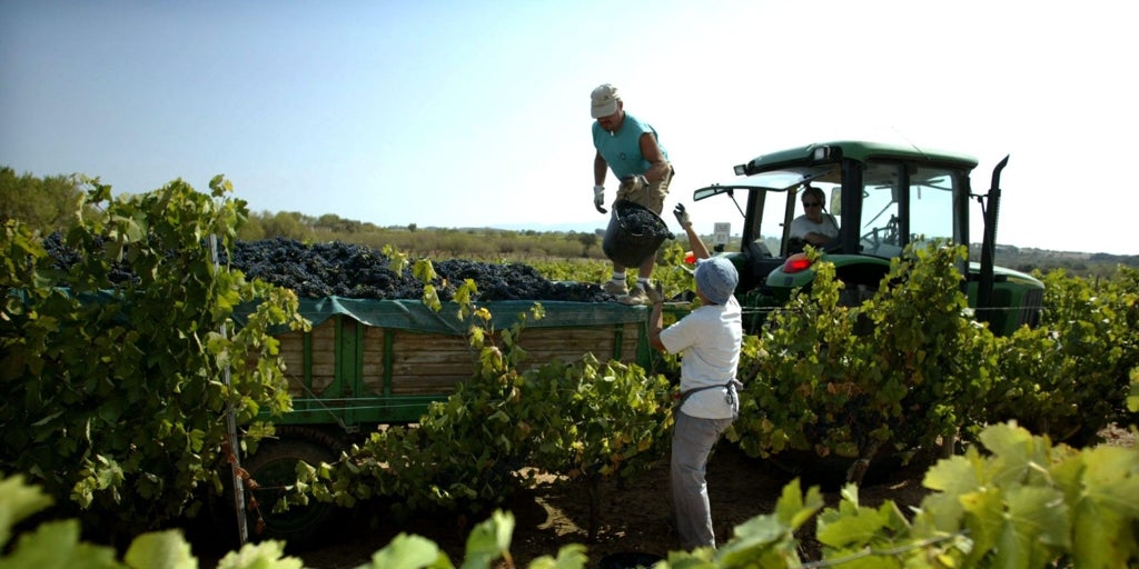 Castilla-La Mancha, tercera comunidad que más fondos recibe del anticipo de la PAC: 367,8 millones de euros