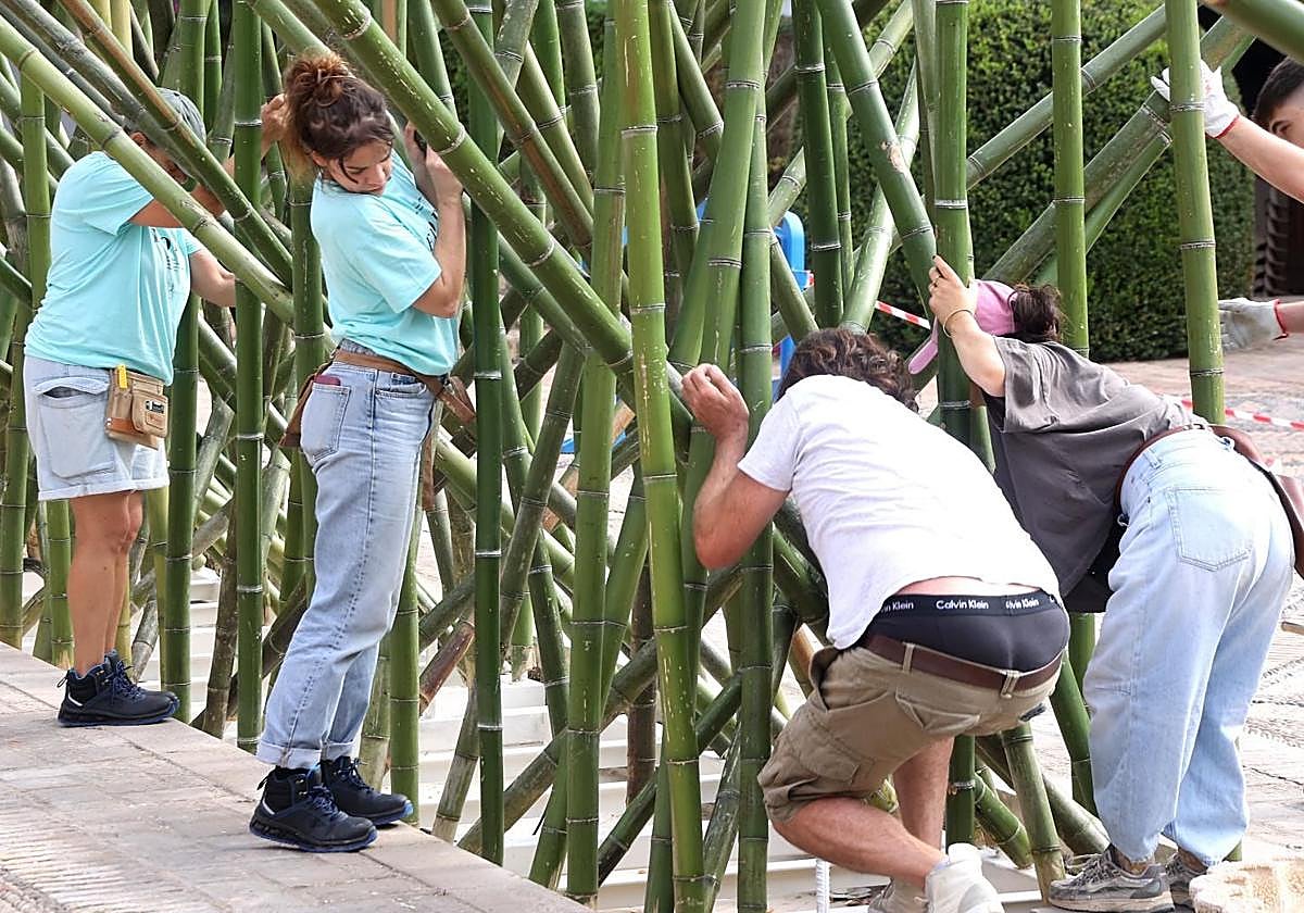 Montaje de una de las instalaciones de Flora 2025