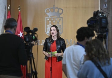 Vox se queda solo al pedir la «remigración» de todos los inmigrantes ilegal en la Asamblea de Madrid