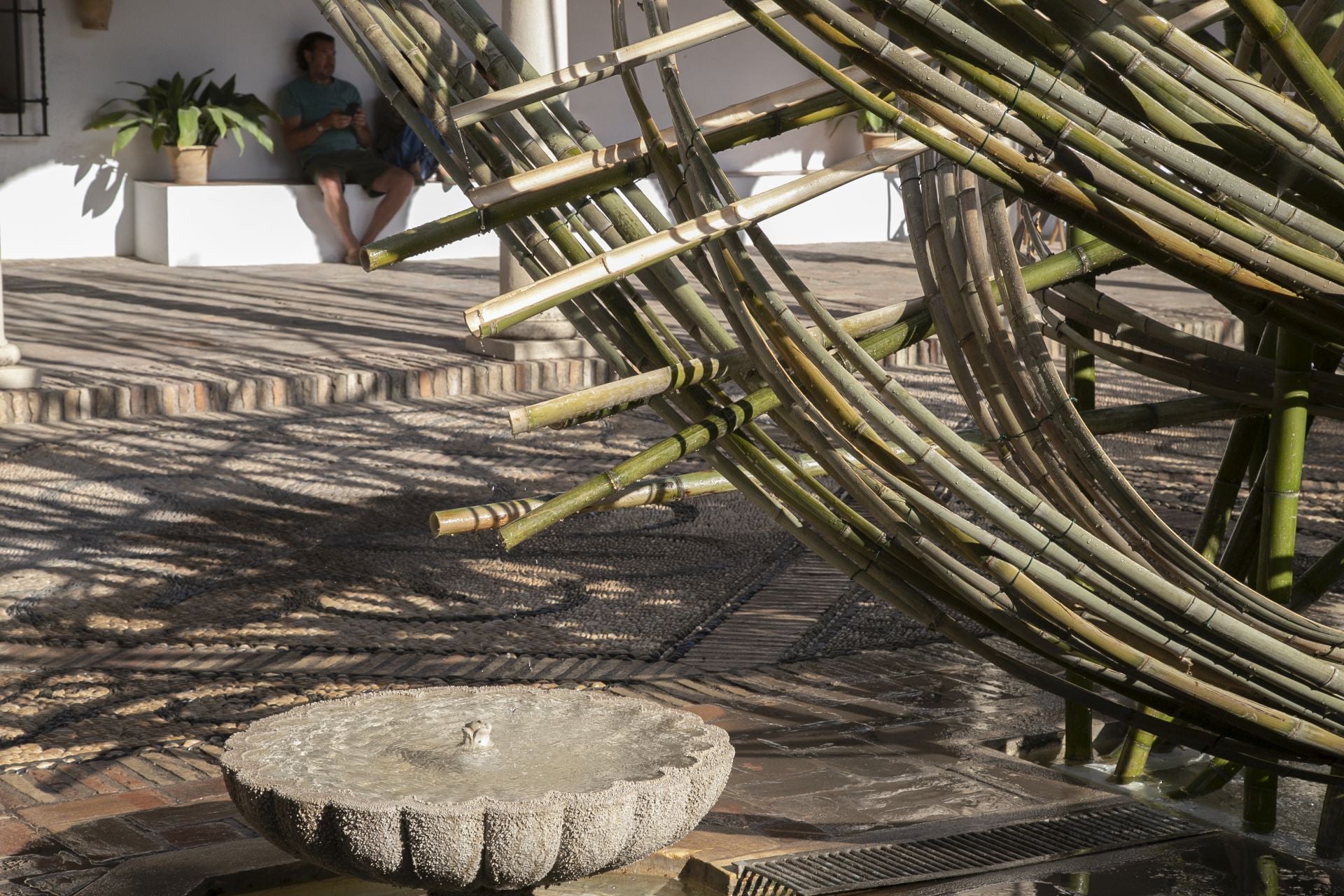 En imágenes, el concurrido arranque de Flora en Córdoba