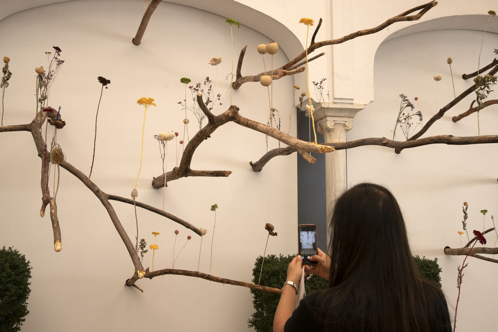 En imágenes, el concurrido arranque de Flora en Córdoba