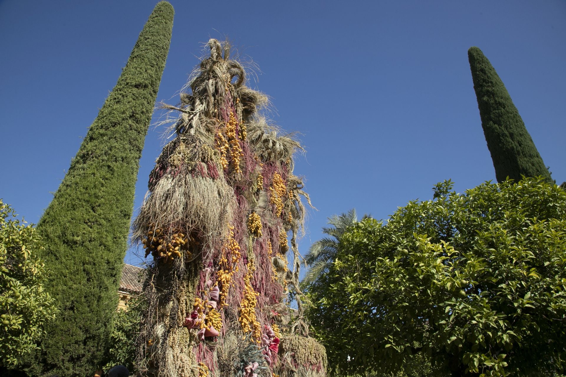 En imágenes, el concurrido arranque de Flora en Córdoba