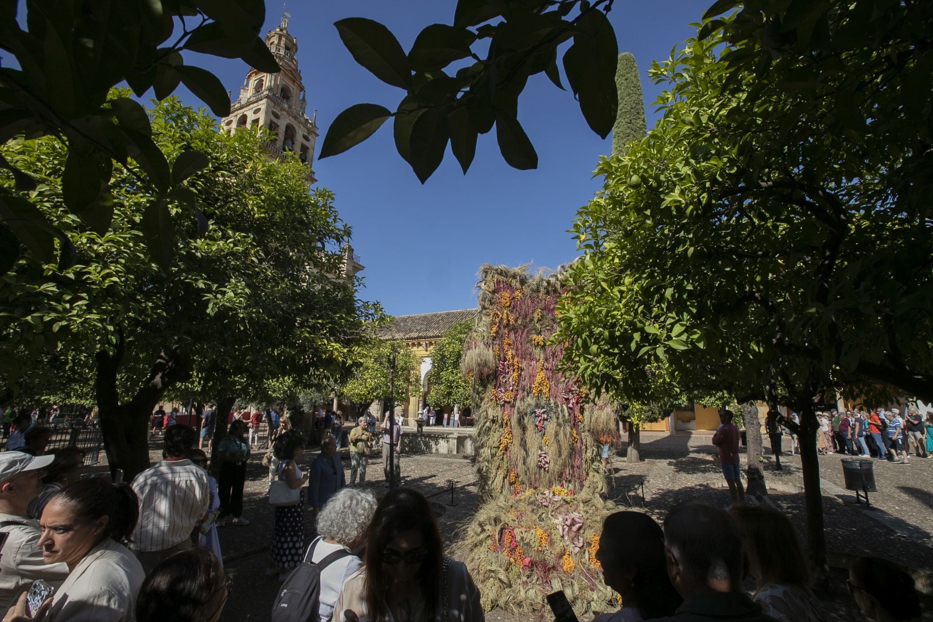 En imágenes, el concurrido arranque de Flora en Córdoba