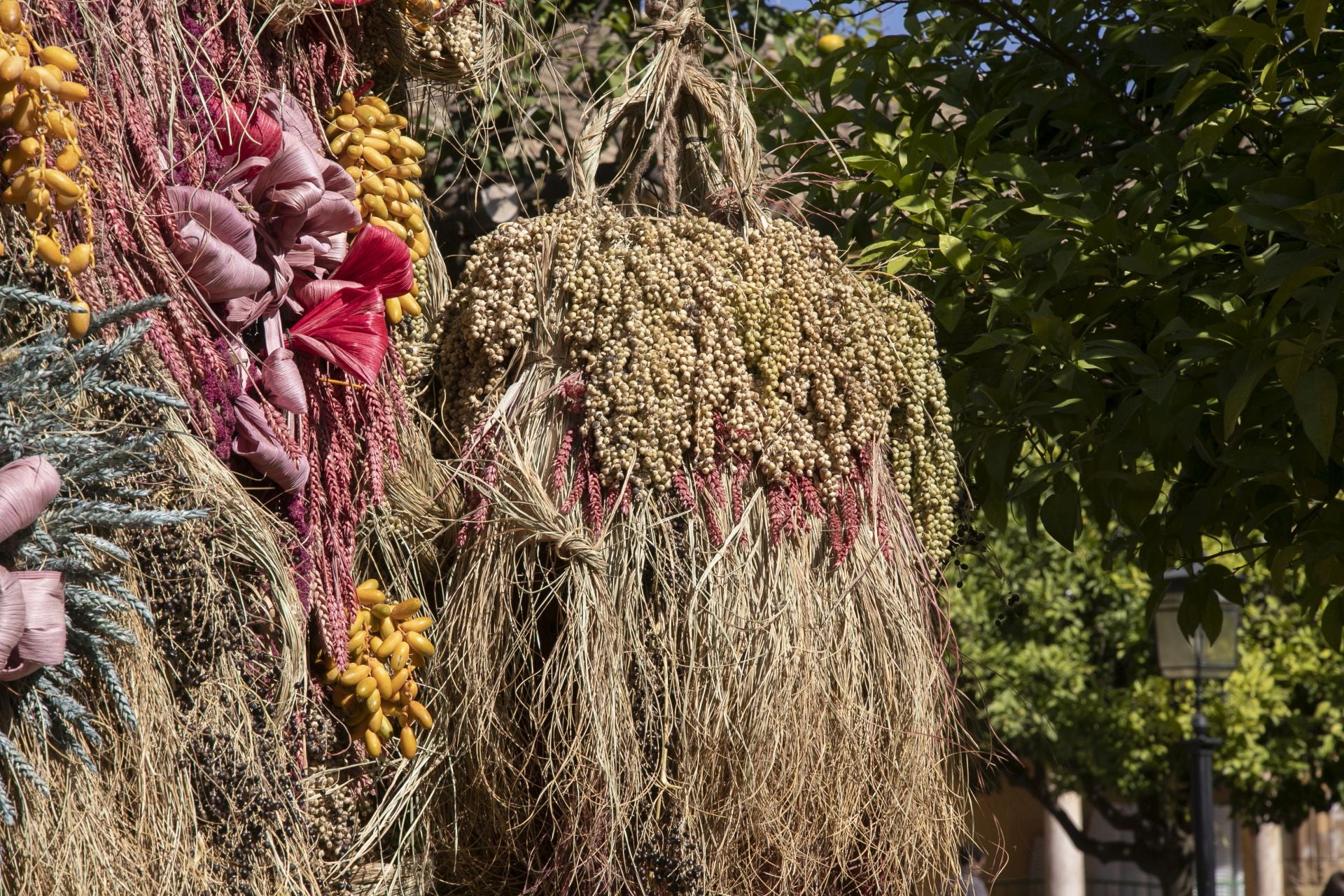 En imágenes, el concurrido arranque de Flora en Córdoba