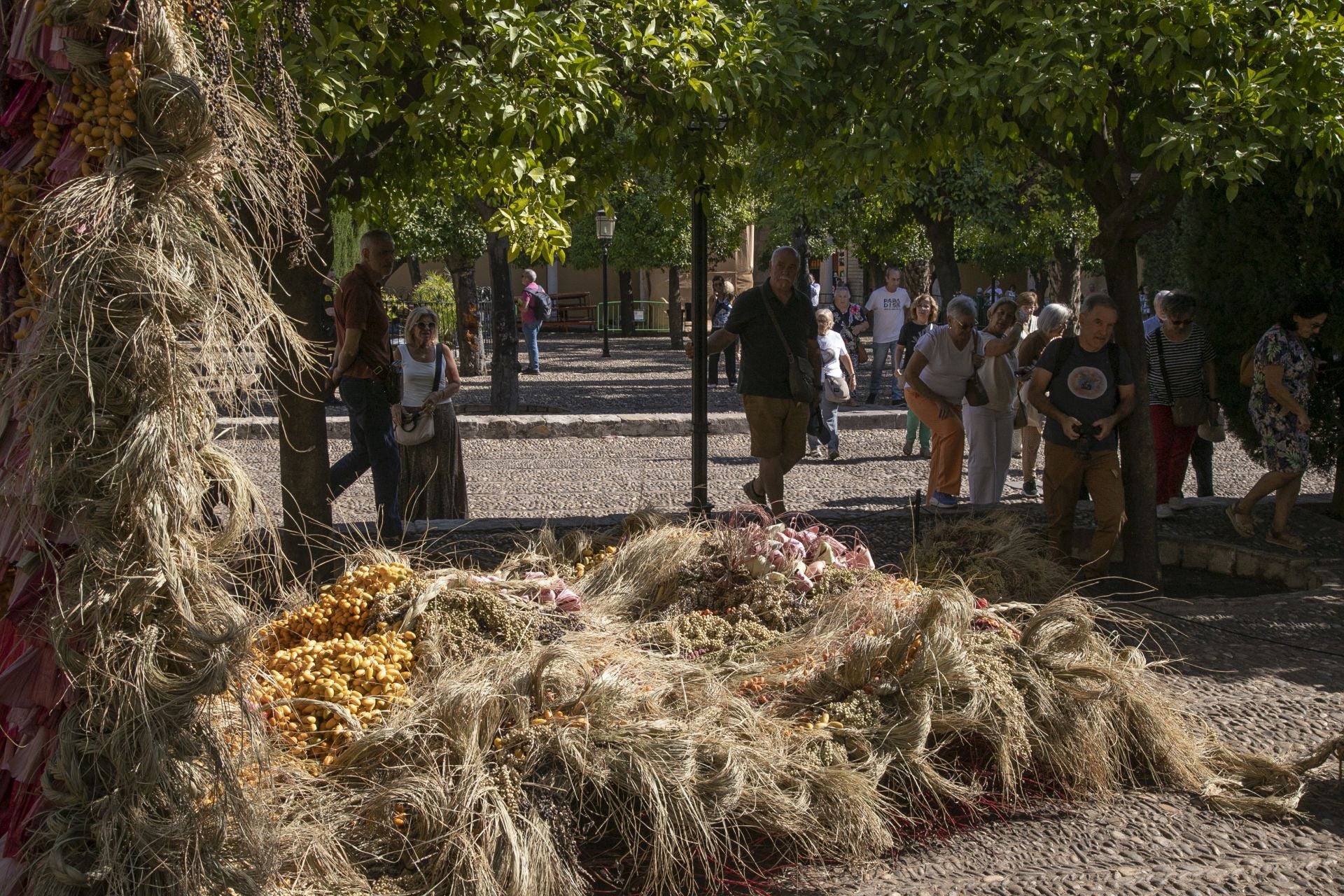 En imágenes, el concurrido arranque de Flora en Córdoba