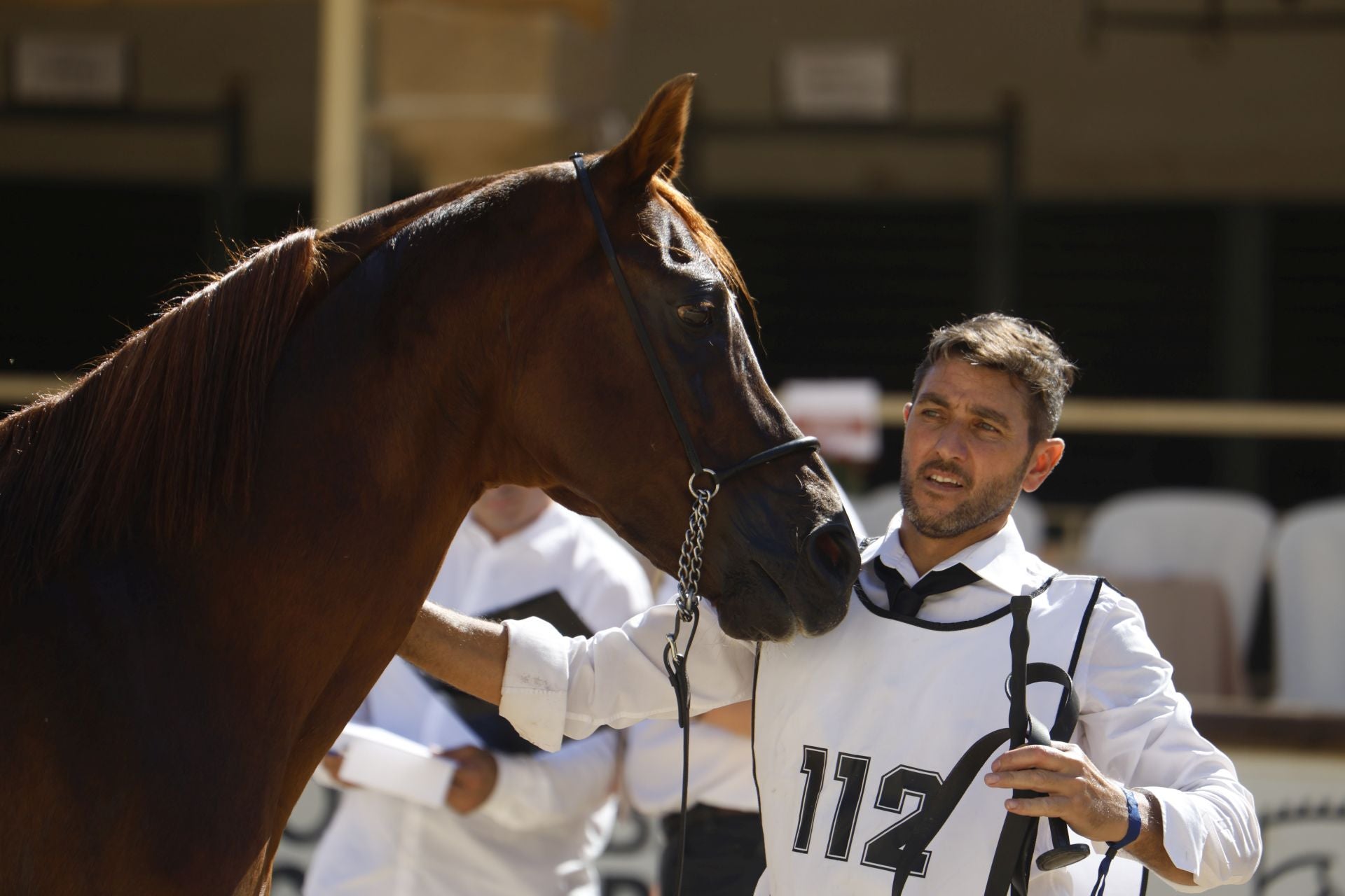 El estético concurso de Caballos de Pura Raza Árabe en Córdoba, en imágenes