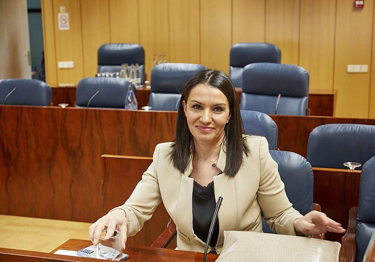 Mercedes Zarzalejo, hasta este viernes diputada del Grupo Popular en al Asamblea