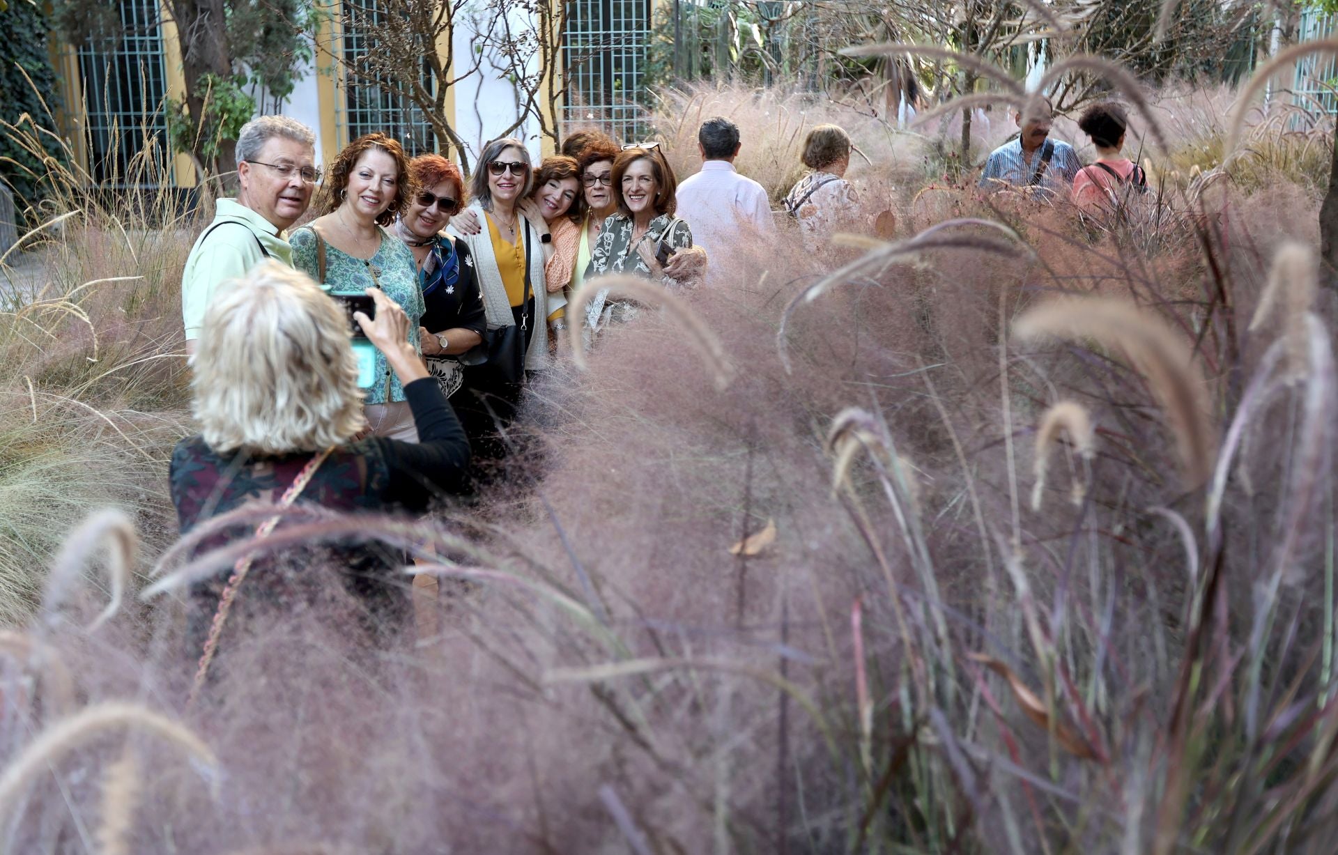 Las multitudinarias visitas a los patios de Flora en Córdoba, en imágenes