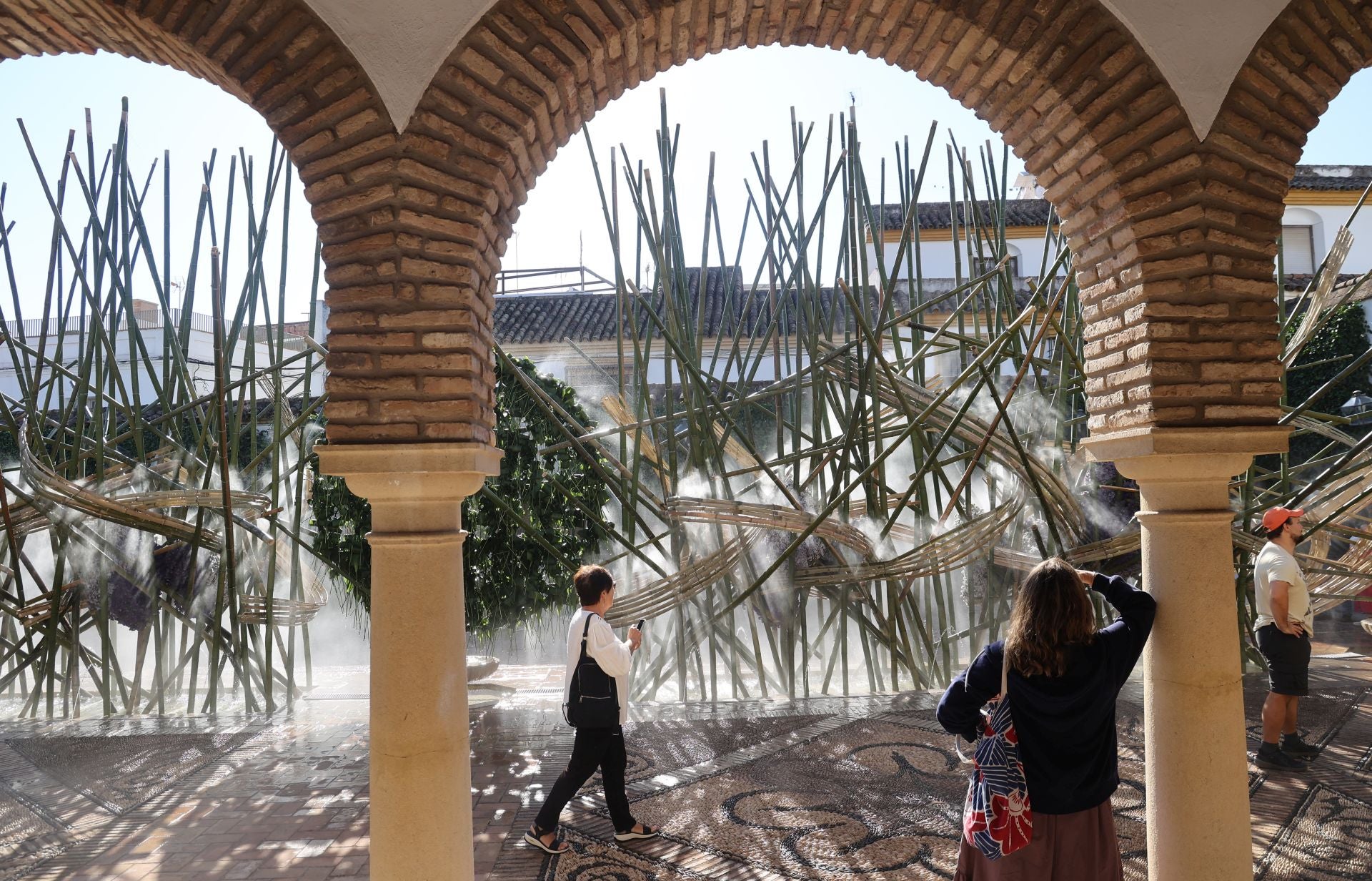 Las multitudinarias visitas a los patios de Flora en Córdoba, en imágenes