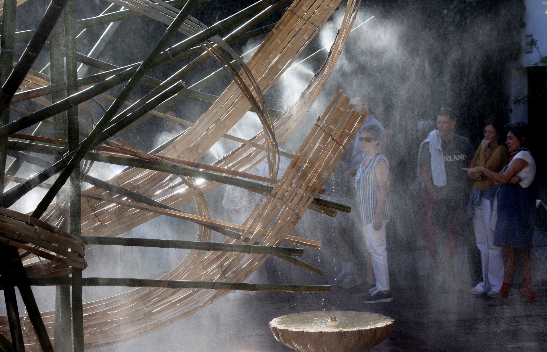 Las multitudinarias visitas a los patios de Flora en Córdoba, en imágenes