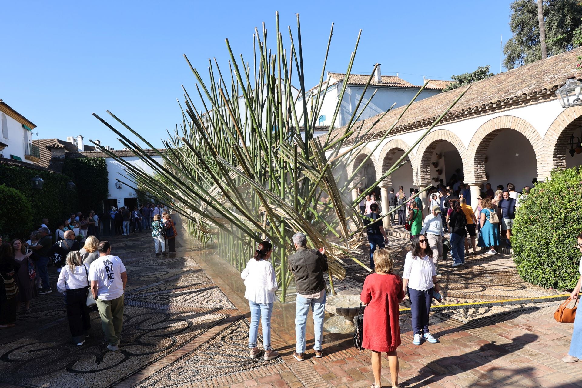 Las multitudinarias visitas a los patios de Flora en Córdoba, en imágenes