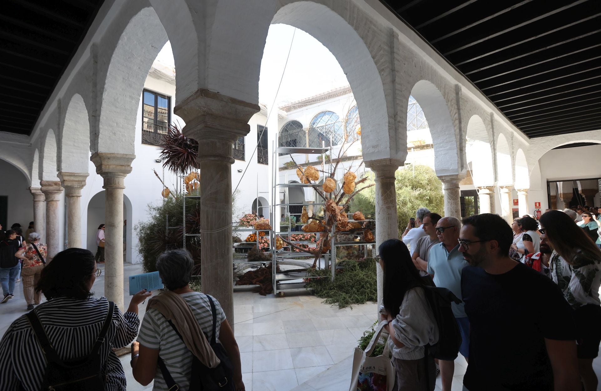 Las multitudinarias visitas a los patios de Flora en Córdoba, en imágenes