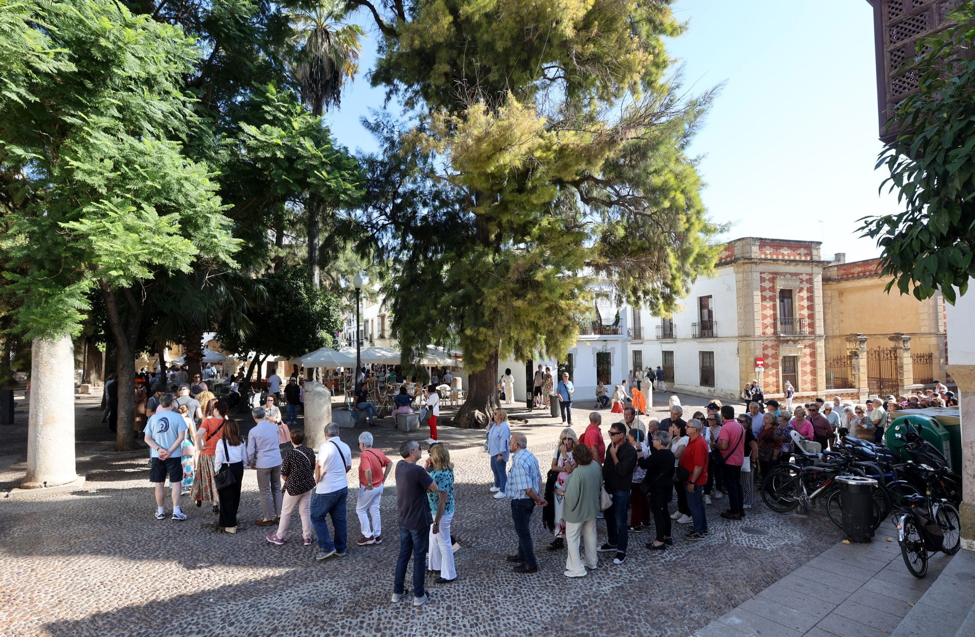 Las multitudinarias visitas a los patios de Flora en Córdoba, en imágenes