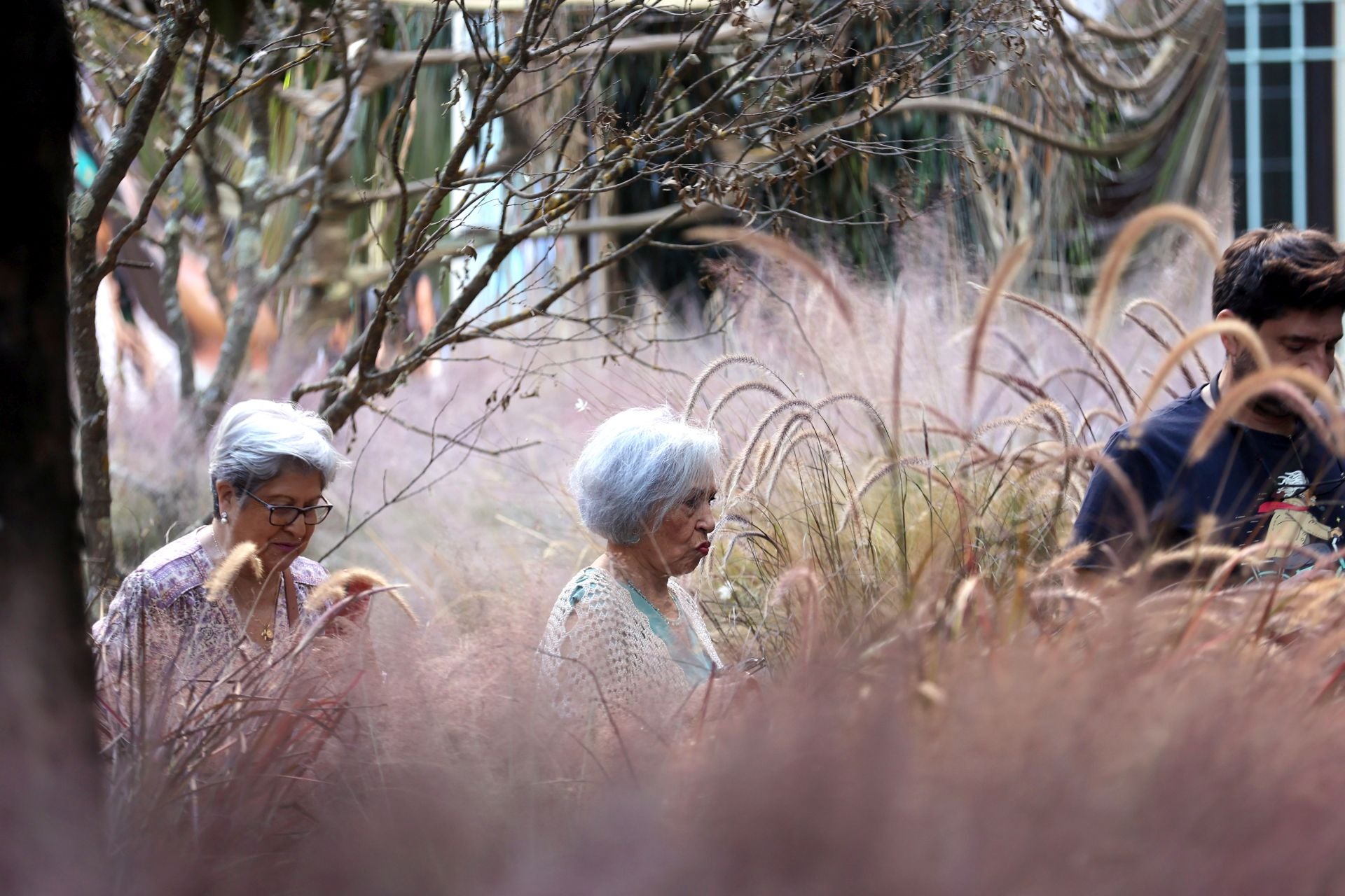 Las multitudinarias visitas a los patios de Flora en Córdoba, en imágenes