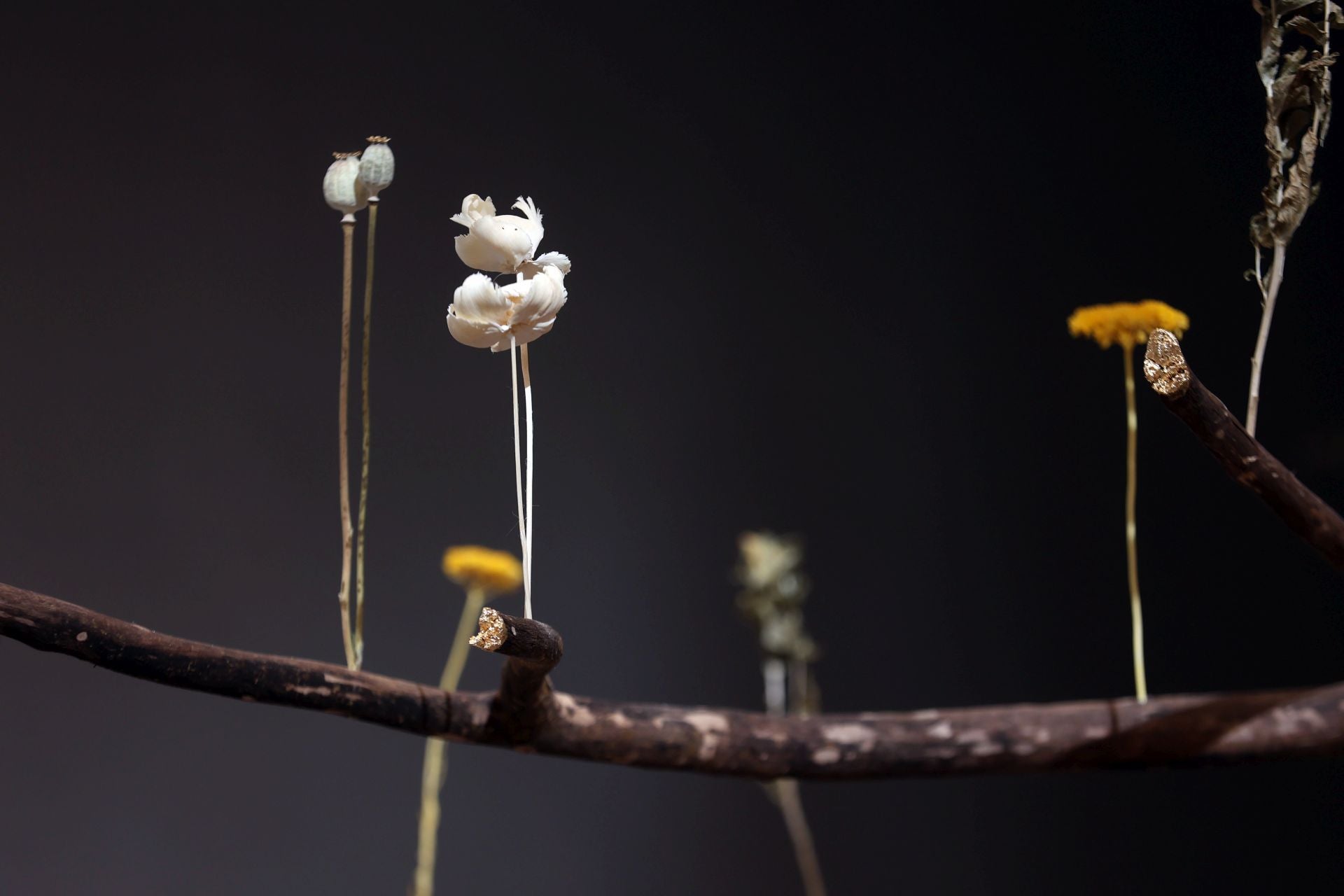 Las multitudinarias visitas a los patios de Flora en Córdoba, en imágenes