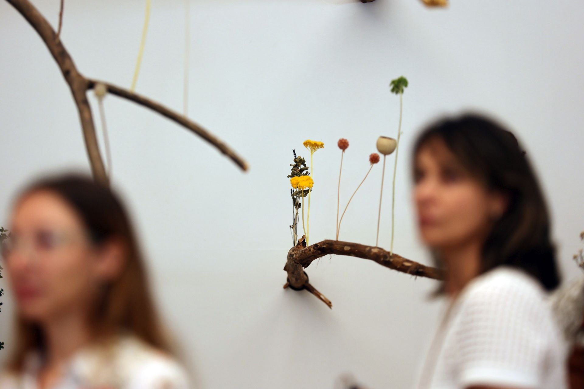 Las multitudinarias visitas a los patios de Flora en Córdoba, en imágenes