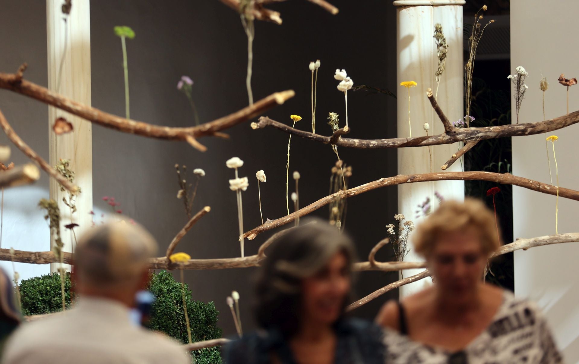 Las multitudinarias visitas a los patios de Flora en Córdoba, en imágenes