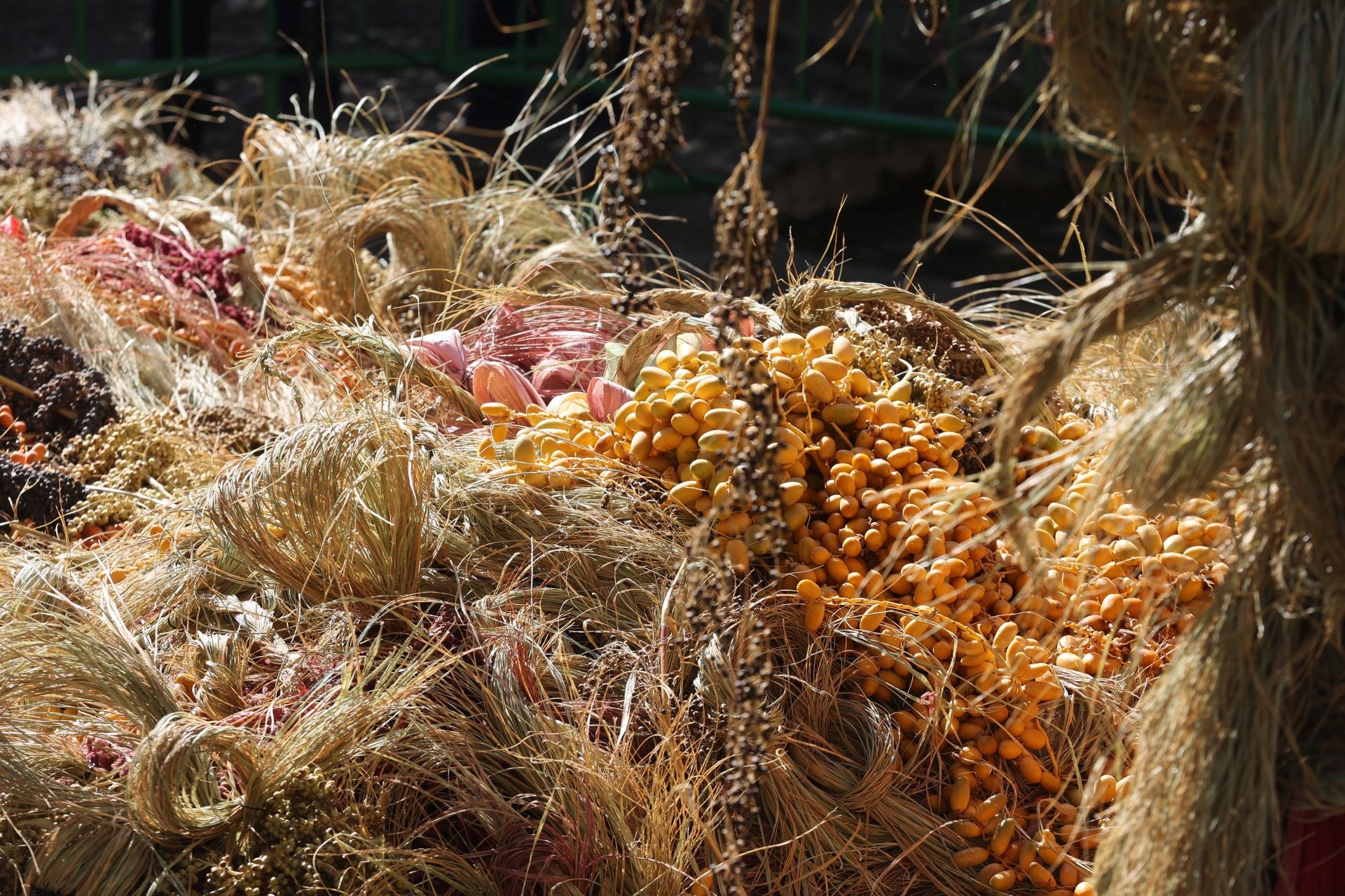 Las multitudinarias visitas a los patios de Flora en Córdoba, en imágenes
