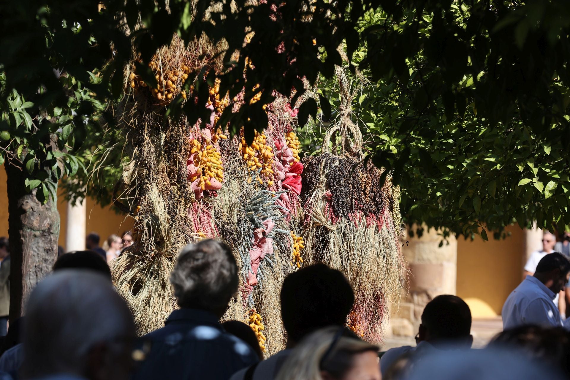 Las multitudinarias visitas a los patios de Flora en Córdoba, en imágenes