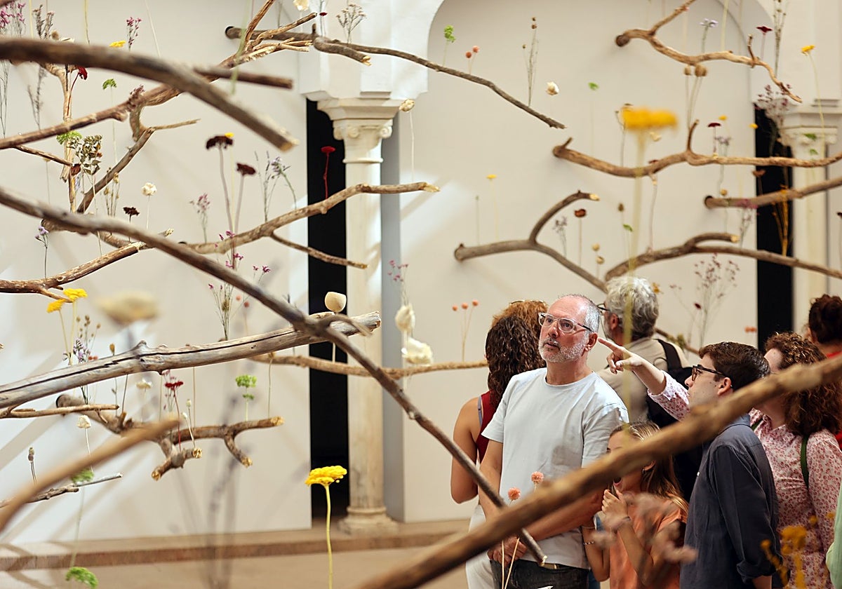 Propuesta de Paula Anta en el Museo Arqueológico