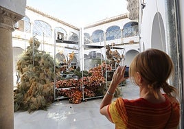 Flora viste el otoño de primavera en Córdoba y llena sus patios de visitas y admiración